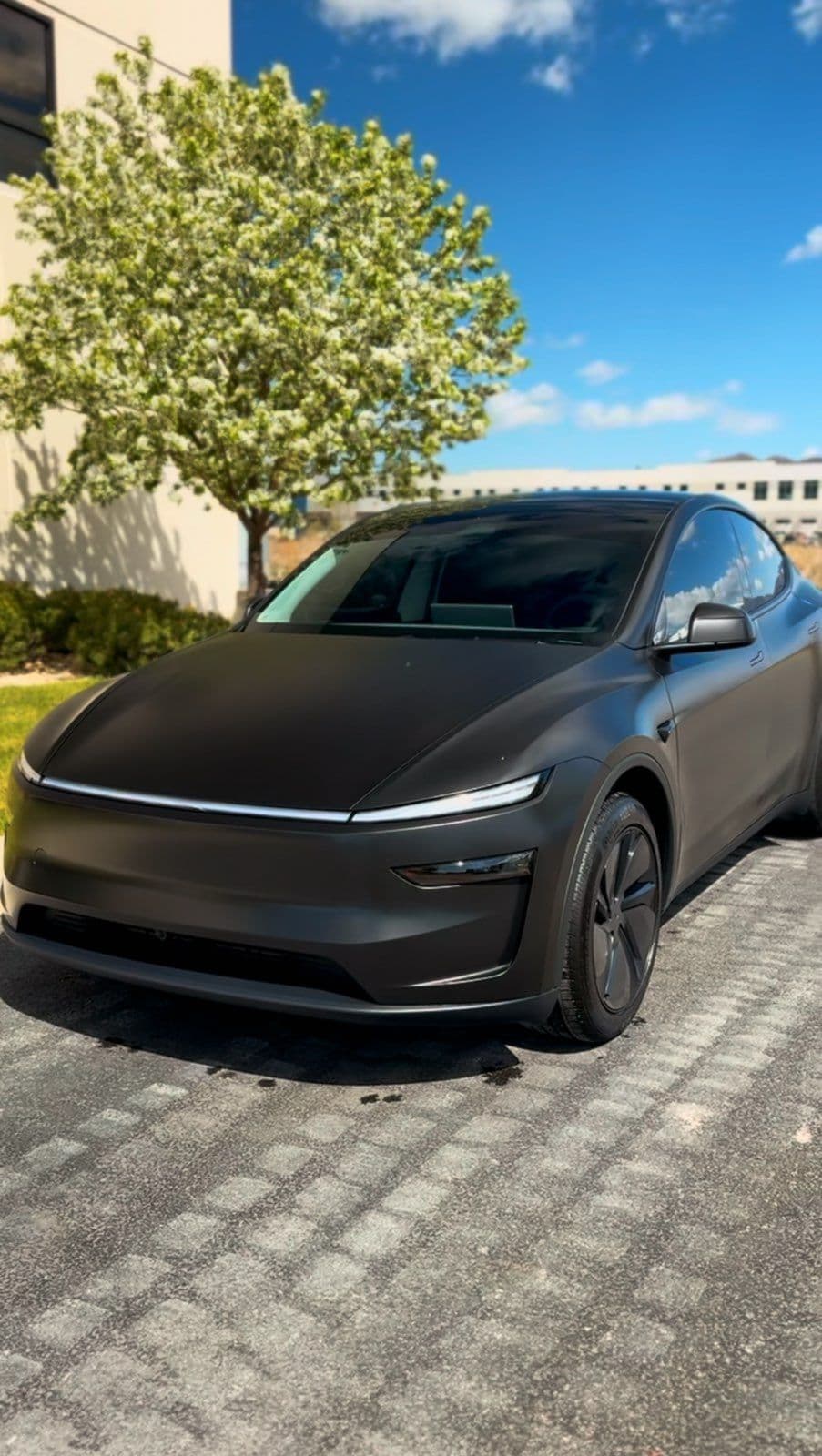 Sleek Model Y Transformation in Lehi image